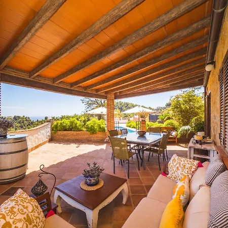 Cubo's La Gitanilla 米哈斯